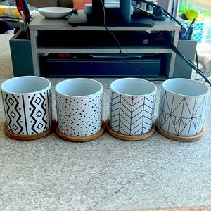 Modern Succulent Plant Vases - Set of 4
